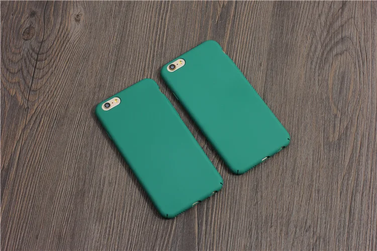 3473367386_430175294