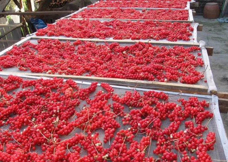 Органический сушеный чай Schisandra Chinensis Wu Wei Zi с пятью вкусовыми ягодными травами wuweizi травяной чай для заботы о здоровье