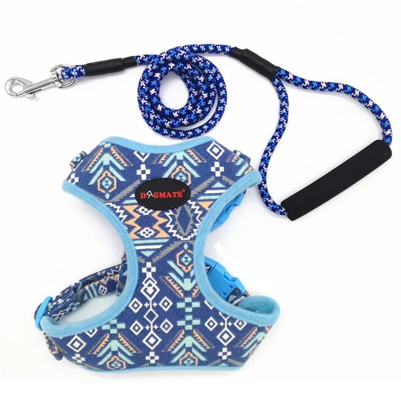 Dog Harness for Small Dogs (15)