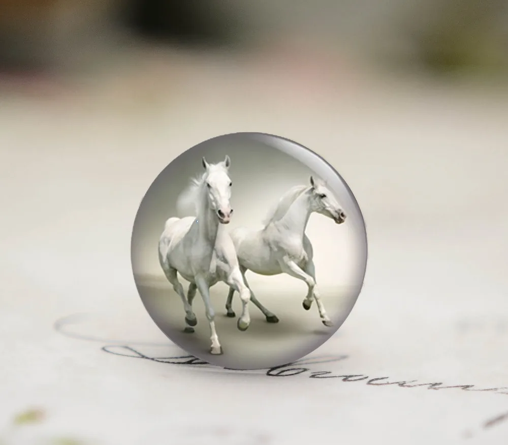 

12-40mm New Fashion Handmade horse Photo Glass Cabochons (B1-111)