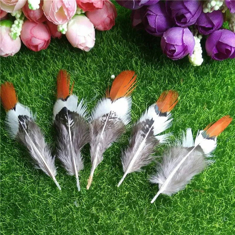 10pcs-lots-Wholesale-Dyed-Pheasant-Feather-for-Wedding-Crafts-Centerpieces-Natural-Plumas-Decoration-Colorful-Feathers-5