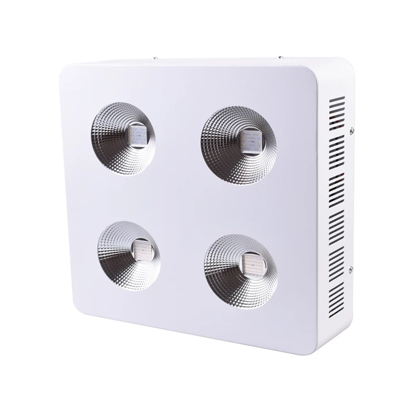 COB 1200W.