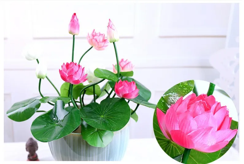 buy lotus pot and