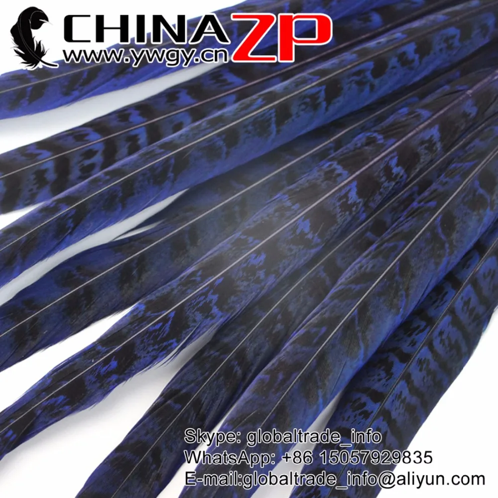

CHINAZP Factory 100pcs/lot Size from 12inch to 14inch(30-35cm) Dyed Partly Royal Blue Ringneck Hen Pheasant Tail Feathers
