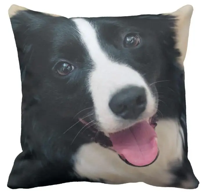 Novelty Wajah Sarung Bantal Perbatasan Collie Border Collie Dog