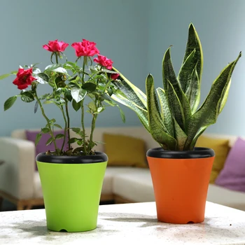 

Six color free shipping lazy self absorption water creative personalized plastic flower pot for home and garden