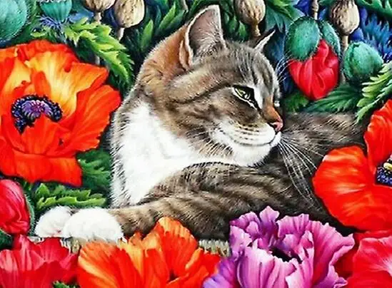 Full 5D Diy Daimond Painting &quotCute Cat&quot 3D Diamond Round Rhinestones Diamant Embroidery Animals | Дом и сад
