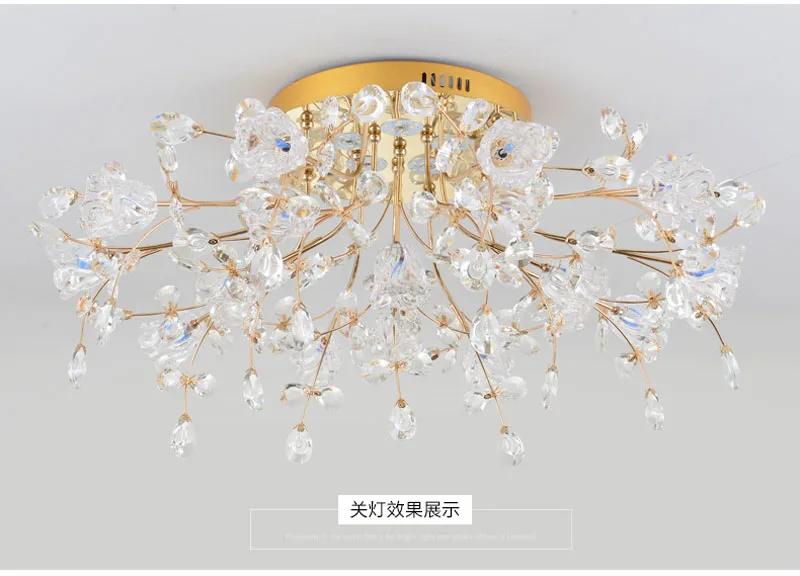 TB23DDFegJlpuFjSspjXXcT.pXa_!!2453374105