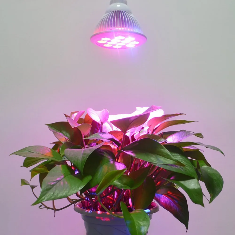 12W E27 LED Grow Light 4 Spectrum Red Blue for Vegetable ...