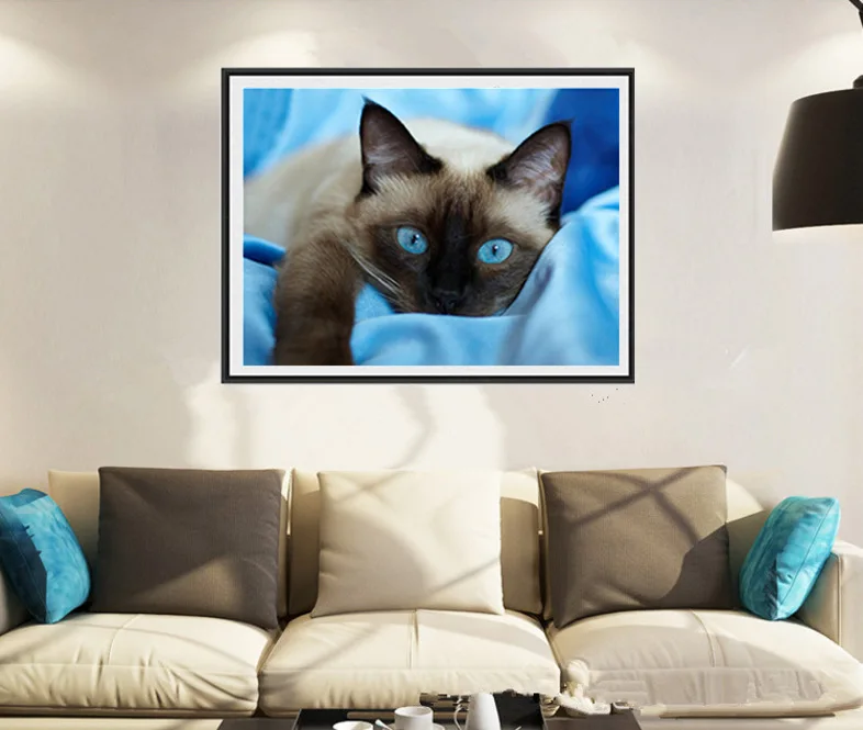 Weiße Katze Mit Einem Grünen Auge Und Einem Blauen Augen