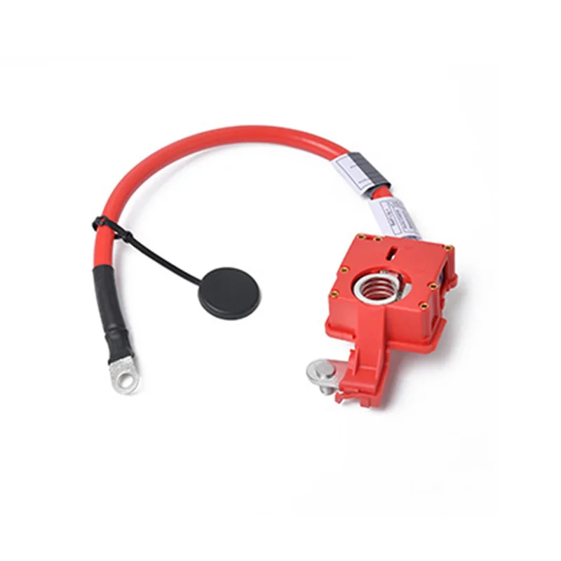 

61129217031 for BMW E90 E91 E92 E82 E84 E88 X1 Positive Terminal to Battery Cable Car Accessories