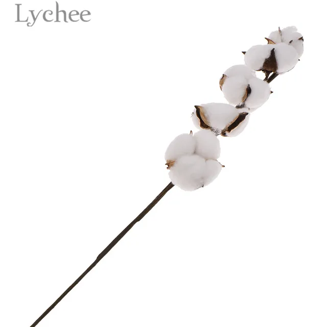 Lychee Natural White Cotton Branch Dried Flower Head DIY Wedding Party Home Decoration