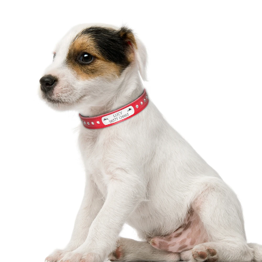 leather dog collars