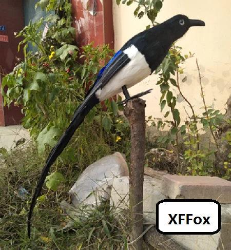 TB251WeX0nJ8KJjSszdXXaxuFXa_!!2697490648.png_400x400