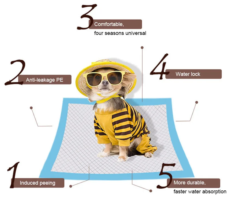 dog diapers (2)