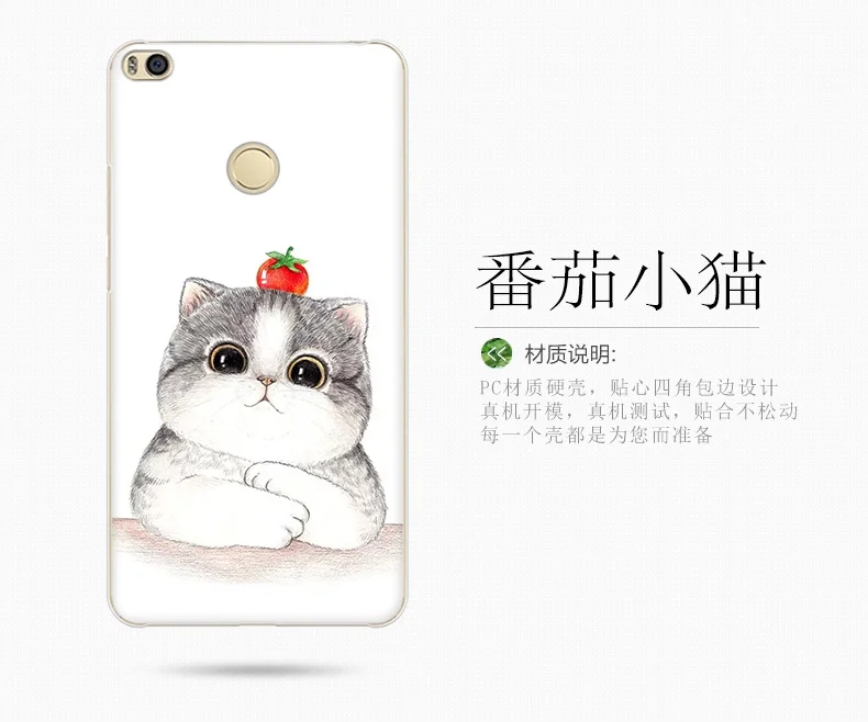 20170717_143657_1142