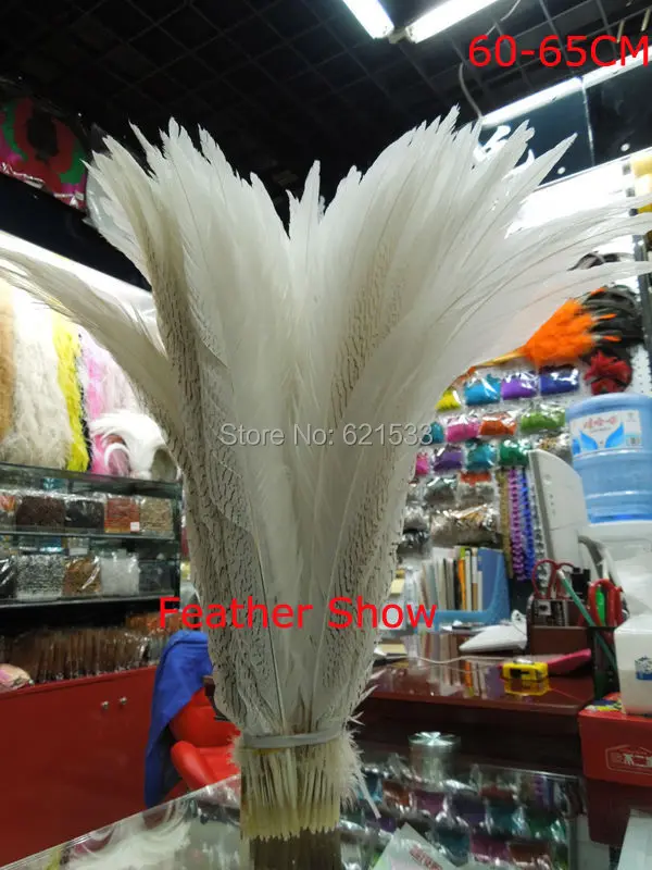 20pieces/lot6065cm Quality Long Silver Pheasant Tail Feathers