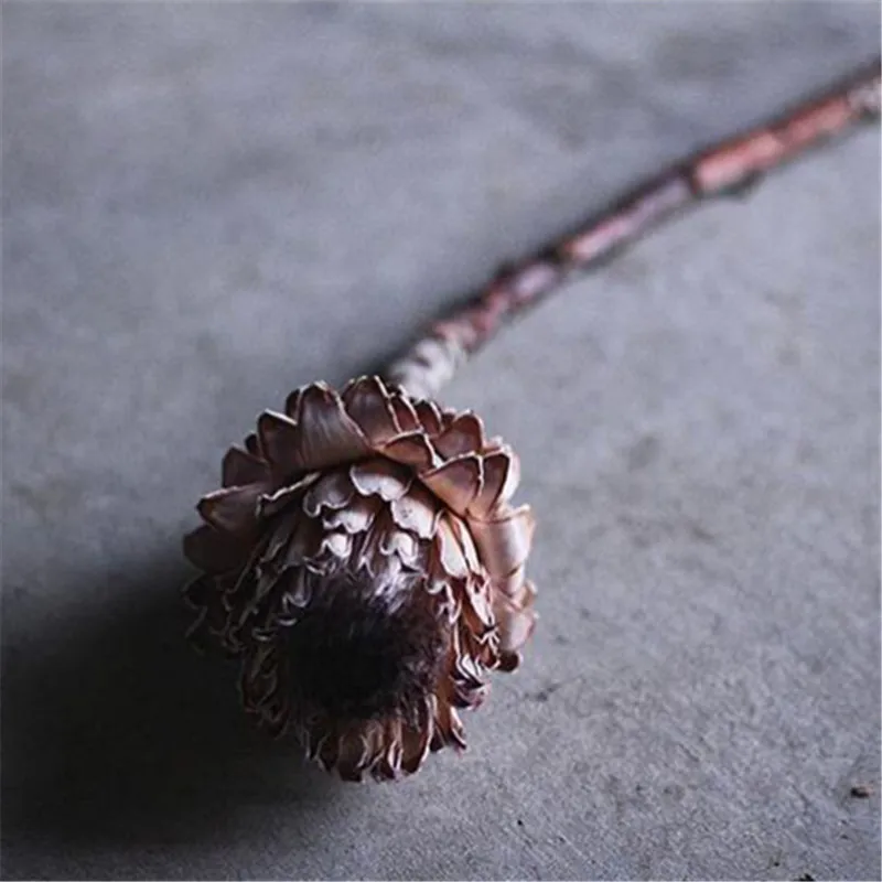 

Natural Dried Branches & Flowers Edelweiss Gentle Light Purple Home Decoration Shop Accessories Wedding Bouquet