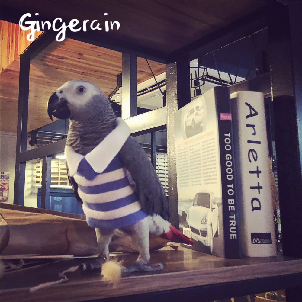 

Gingerain Bird clothes Parrot clothes The Little Prince original hand-made custom bird clothes Hooded Sweater Fruit park