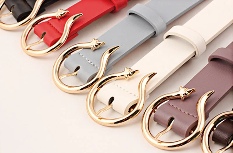 5093331560_109363456-1