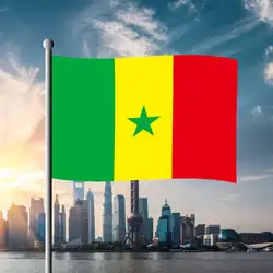 1 шт. Сенегал Национальный флаг 60*90 см висит флаги активного отдыха/парад баннер для фестиваля мира по футболу чашки