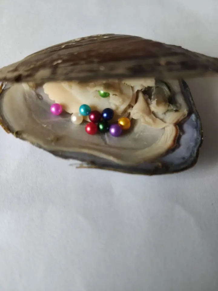 河蚌10颗