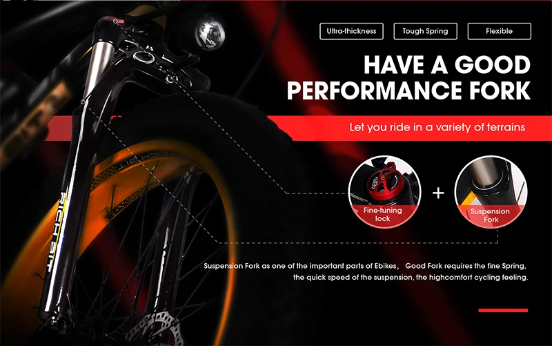 Top RichBit RT-012 Plus Fat Tire ebike 21 speeds 48V 1000W 17Ah Lithium Battery powerful Electric Bicycle With Computer Speedometer 17 Top RichBit RT-012 Plus Fat Tire ebike 21 speeds 48V 1000W 17Ah Lithium Battery powerful Electric Bicycle With Computer Speedometer 17