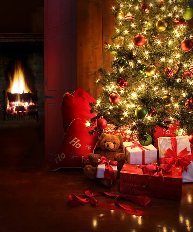 Photography Backdrop,Newborn Baby Photoshoot Background,Christmas Custom Photo Backdrops for studio photography XT-2140