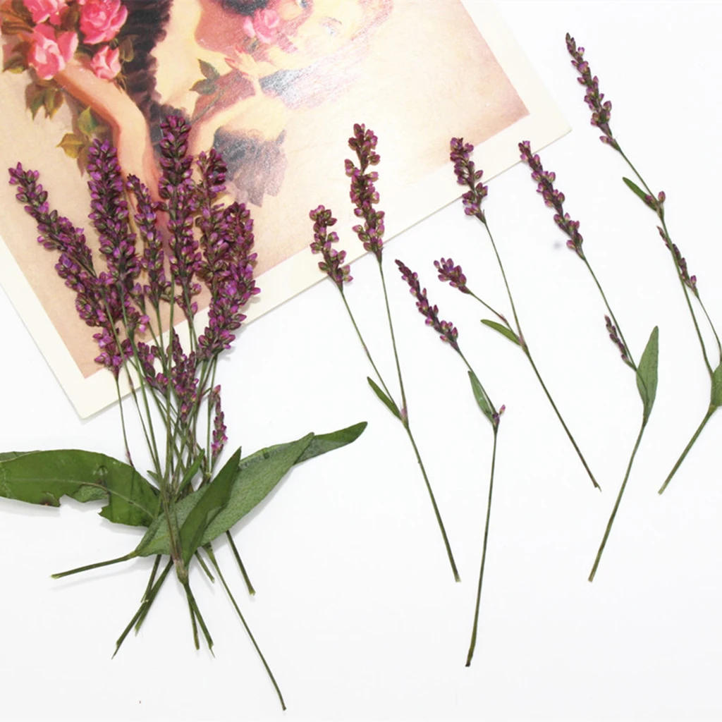 12Pcs Real Pressed Leaves Dried Flowers DIY Scrapbooking Phone Cover packages lampshades scrapbooks Crafts 