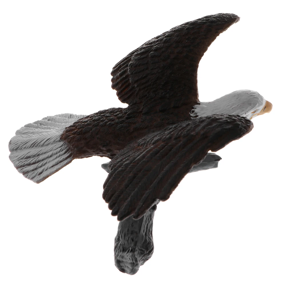 Plastic Realistic Wildlife Jungle Forest Animals Bald Eagle Action Figure Toys Kids Toddler Nature Toys Home Decor Collectibles