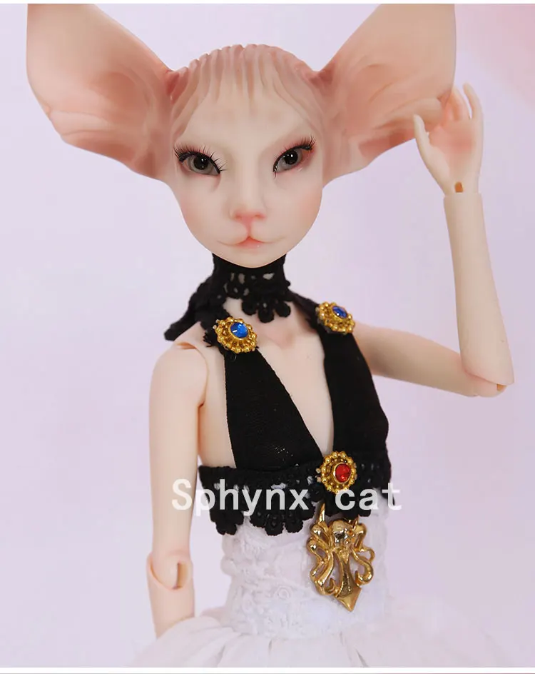 Sphynx-cat_05