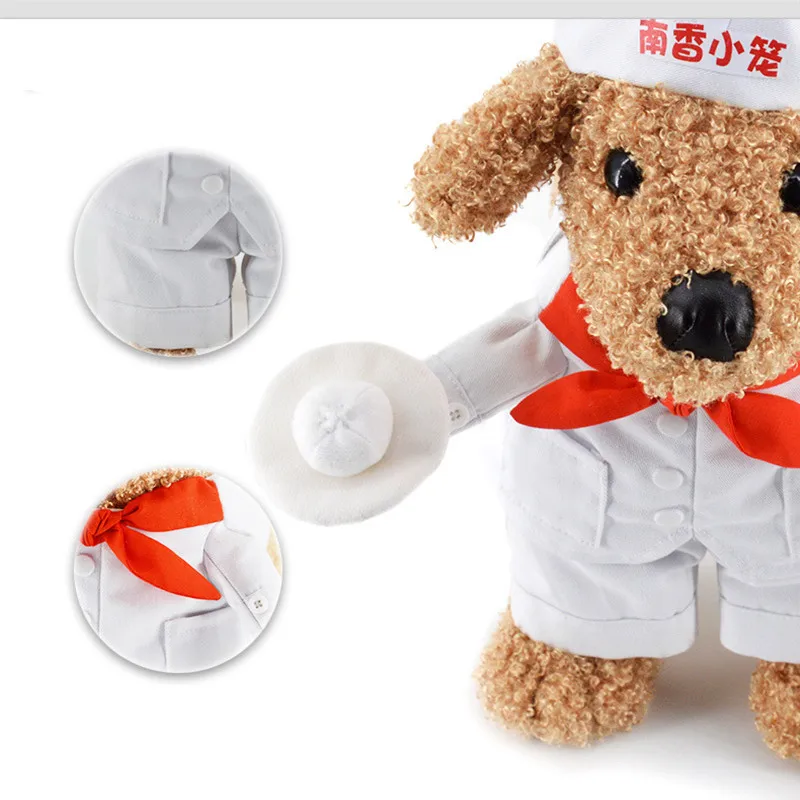 Товары для домашних животных в стиле шеф повара|cat costume|clothes catcat pet clothes |