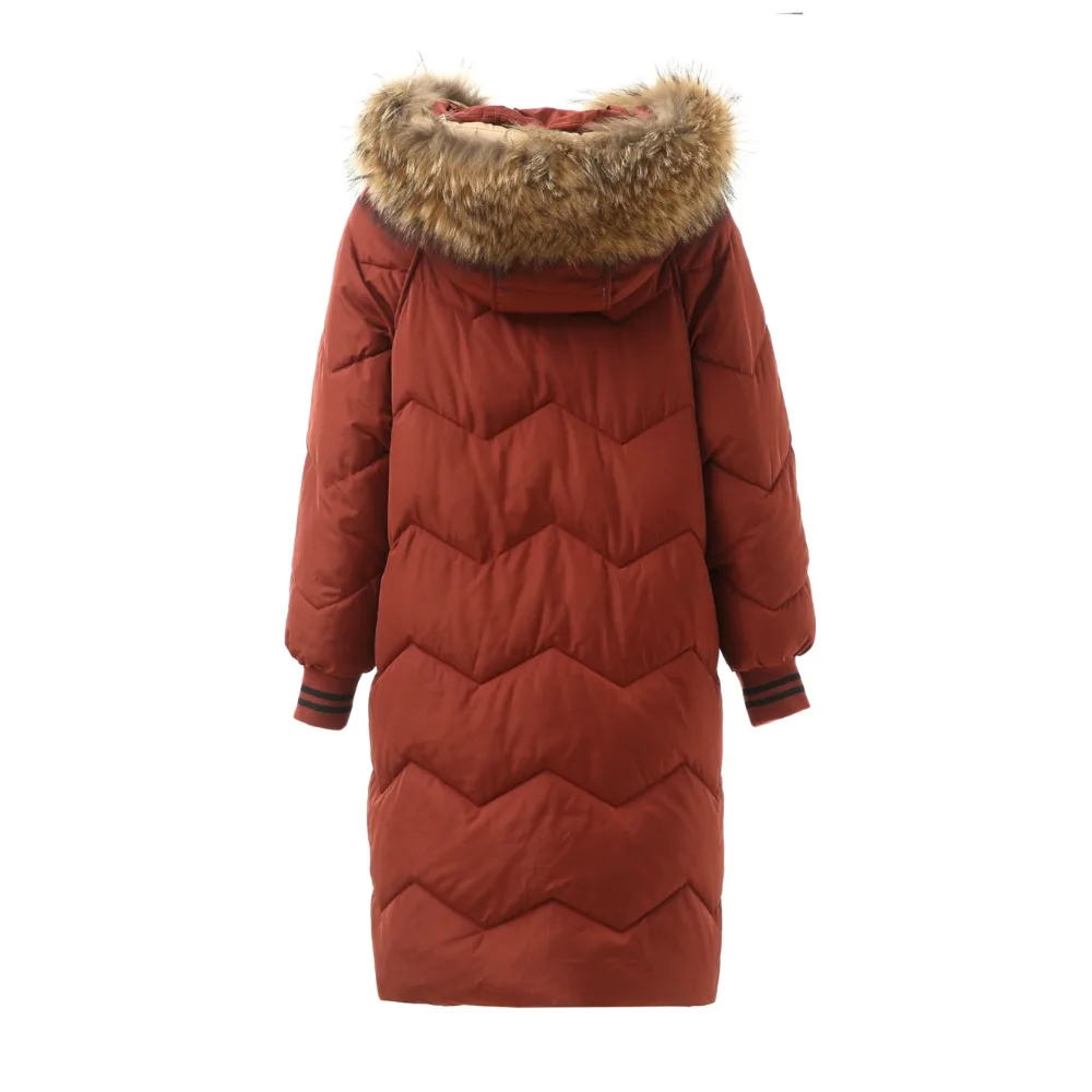 Coton Poche Color De Manteau Color Grande Hiver Col Picture The Veste Fourrure Almuerk Capuchon 2018 Femmes the À Automne Longue Taille Rembourré Parka qwXgT0B
