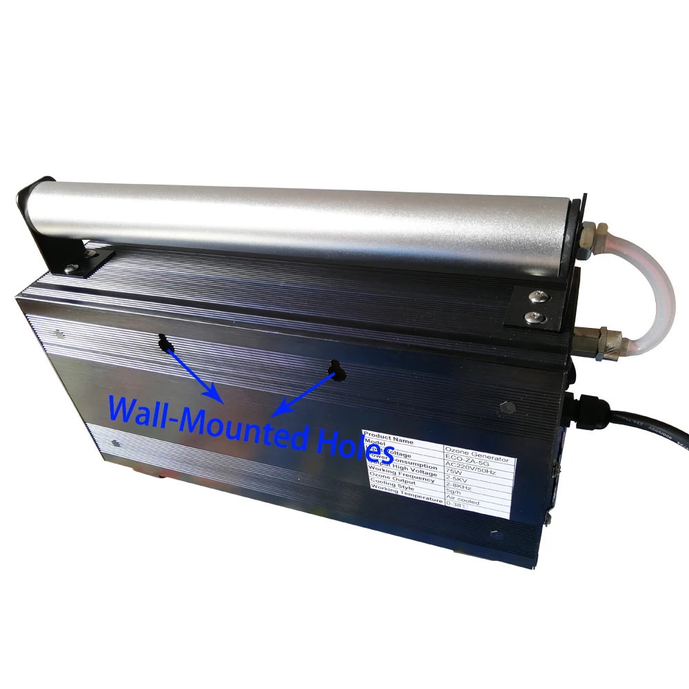 5g ozone generator  (1)