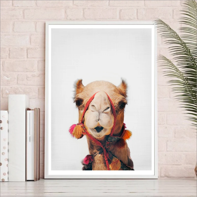 camel poster wall art print