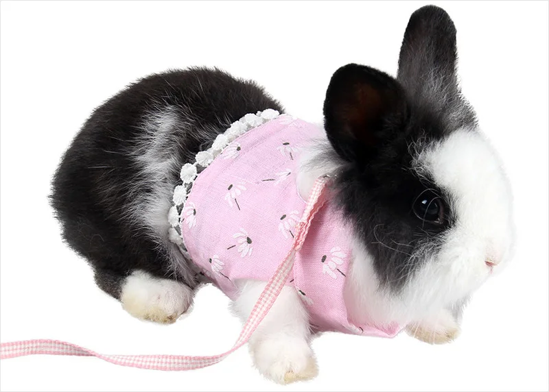 Hmaster harness with leash set