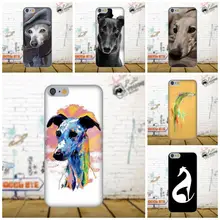Greyhound Shipping Quote >> Buy Greyhound Quotes And Get Free Shipping On Aliexpress Com Greyhound Shipping Quote >> Buy Greyhound Quotes And Get Free Shipping On Aliexpress Com