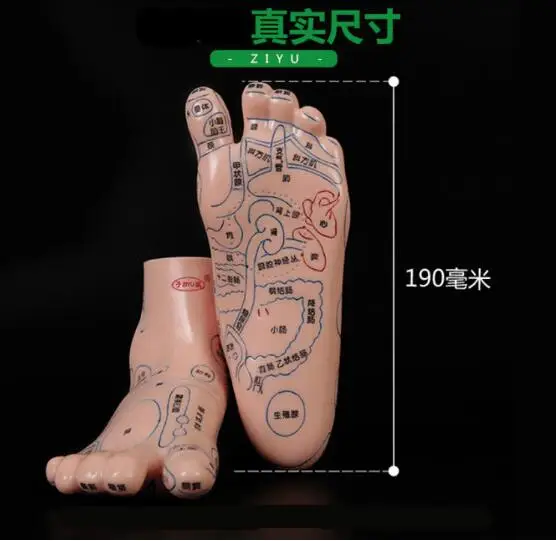 QQ20190122194936
