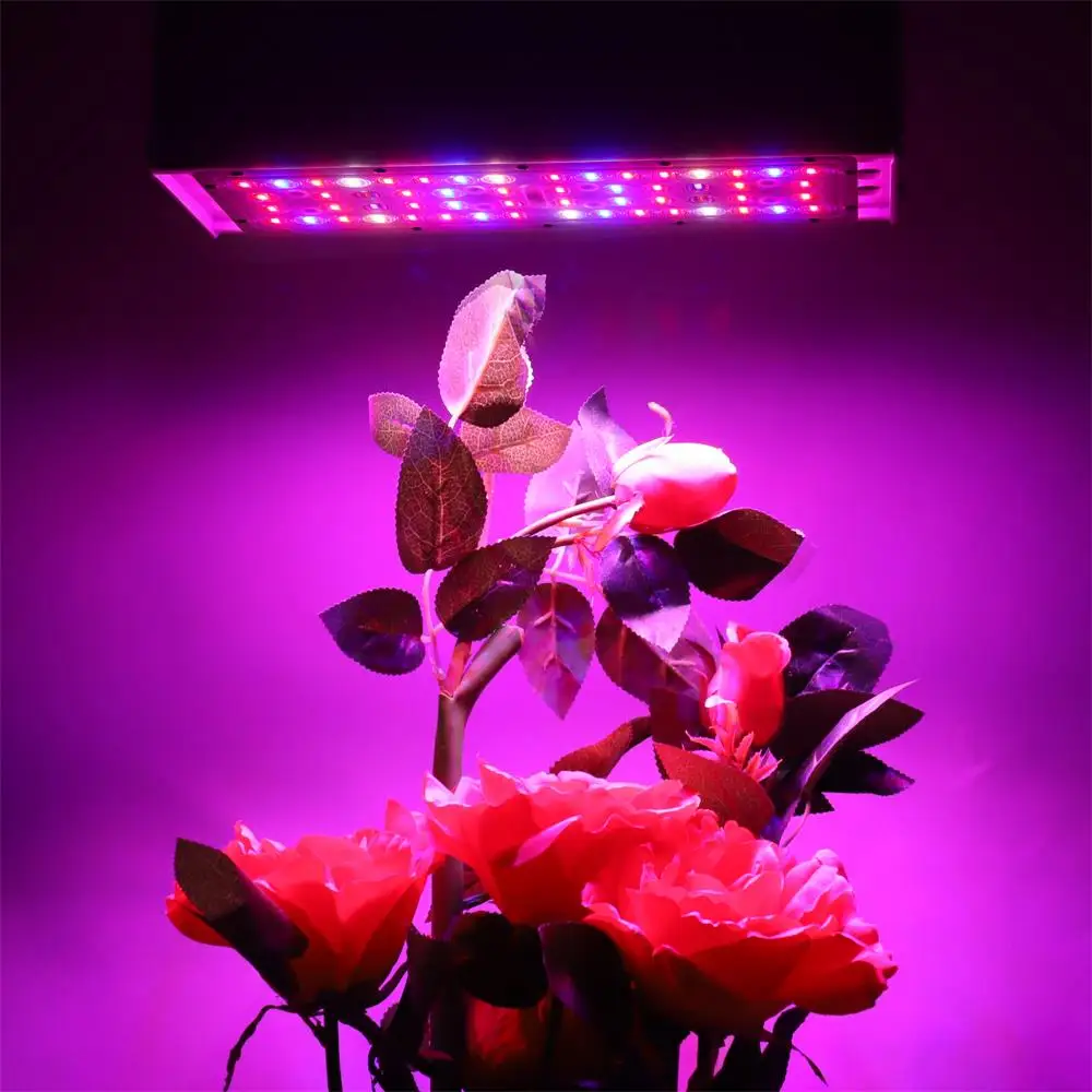 10-