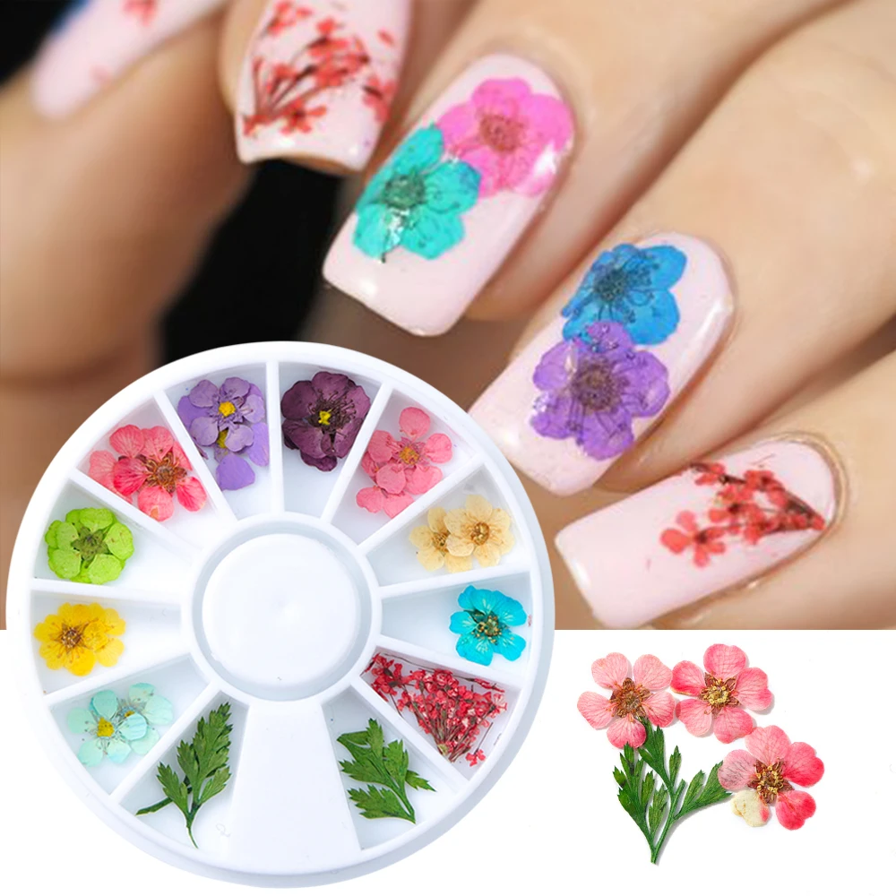 1 Wheel Dried Flower For Polish Nail Art Decoration Flakes Daisy Tips ...