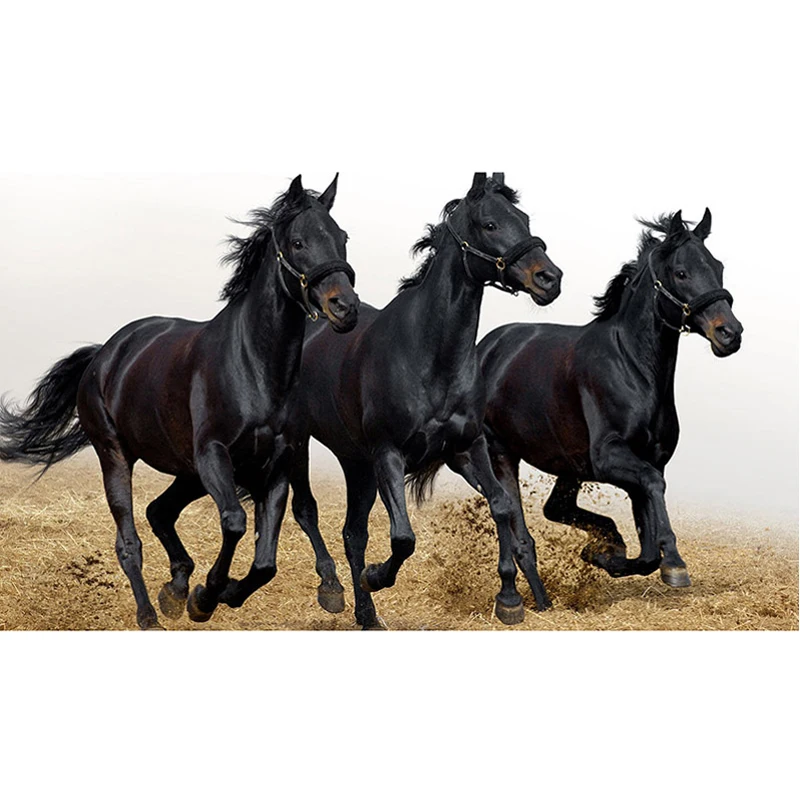 GLymg Mosaic Gift Kits For Adults Dark Horse 5D Diamond Craft Painting