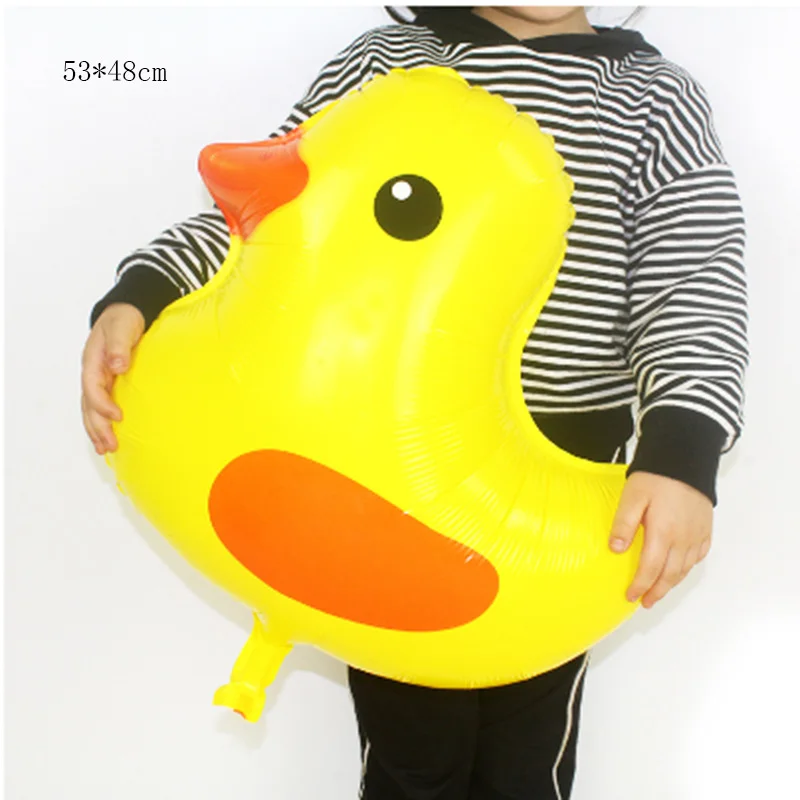 wang hong duck