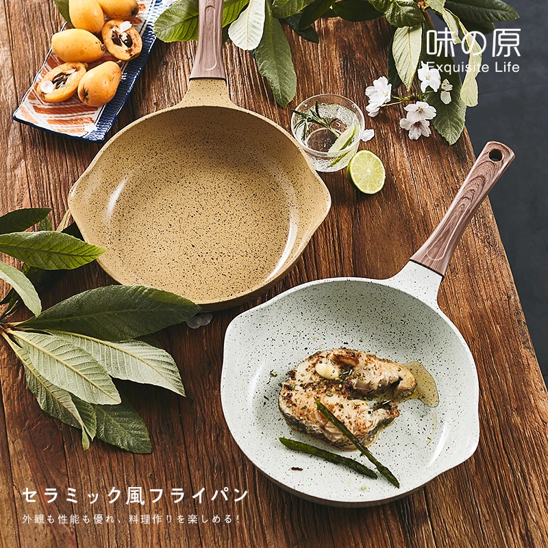 Japanese original ceramic frying pan steak pot die casting thickening