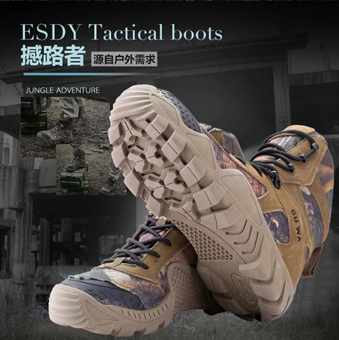 LY3001_13