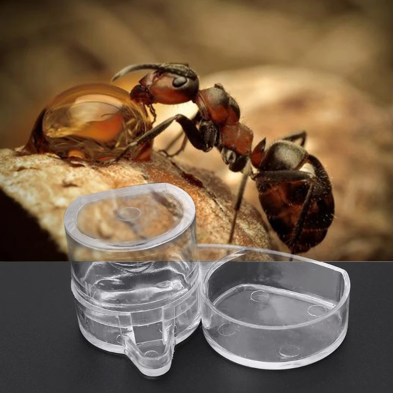 2 In 1 Ants Food Water Feeding Bowl Pet Ant Insect Nests Water Acrylic