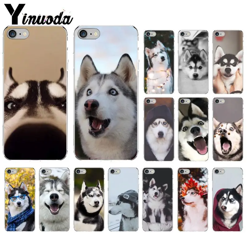 

Yinuoda Husky Alaska dog Soft Silicone Transparent Phone Case for Apple iPhone 8 7 6 6S Plus X XS MAX 5 5S SE XR Mobile Cases