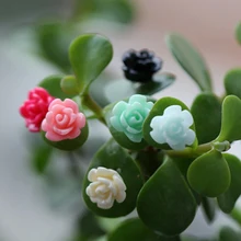 20 шт мини цветы из каучука миниатюрный Горшки Бонсай космический микро-ландшафт для Домашнего Цветоводства Декор Свадебная вечеринка украшения