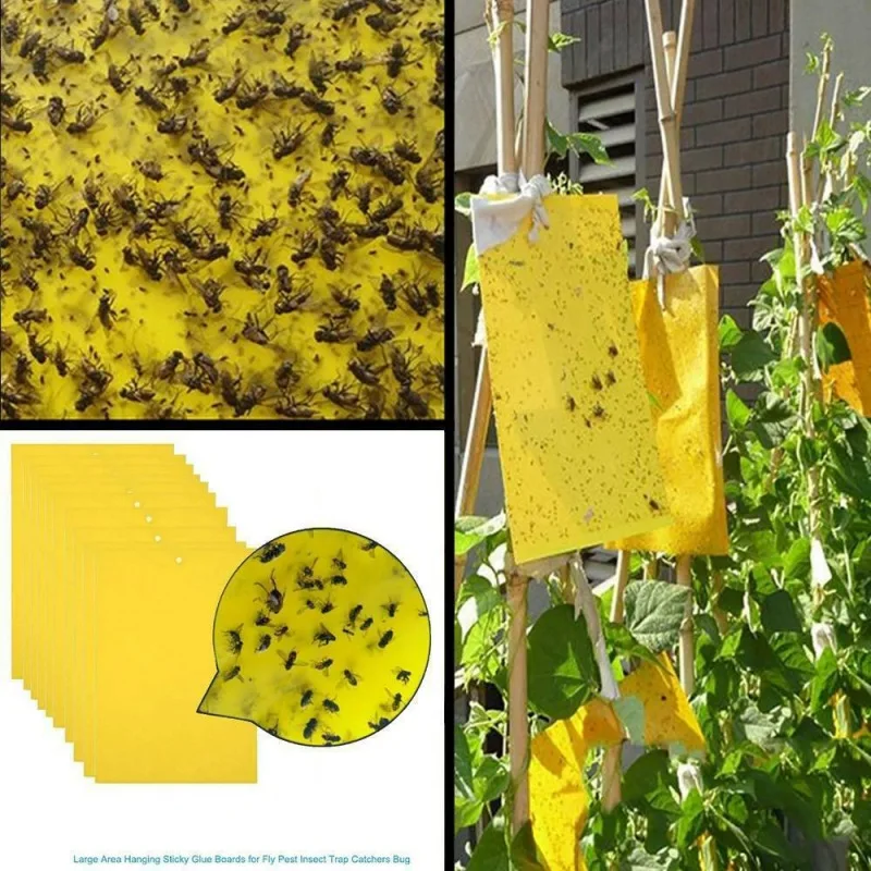

50pcs Strong Flies Traps Bugs Sticky Board Adhesive Traps For Catching Aphid Insects Pest Killer Outdoor Garden Fly Trap