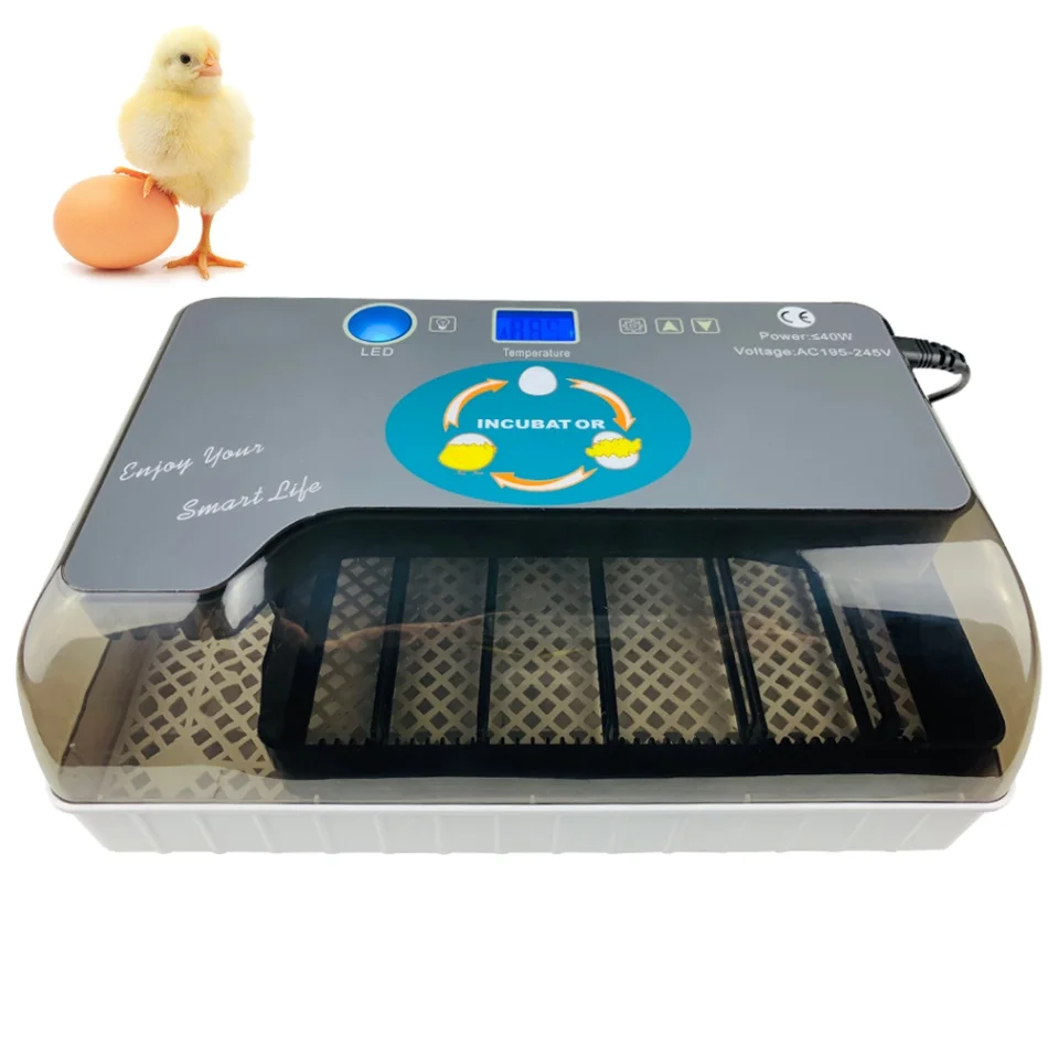 Умный цифровой инкубатор для яиц, автоматический инкубатор для яиц, инкубаторы с тестером для яиц, Автоматическое яйцо питомец, поворот 12 яиц - Цвет: UK