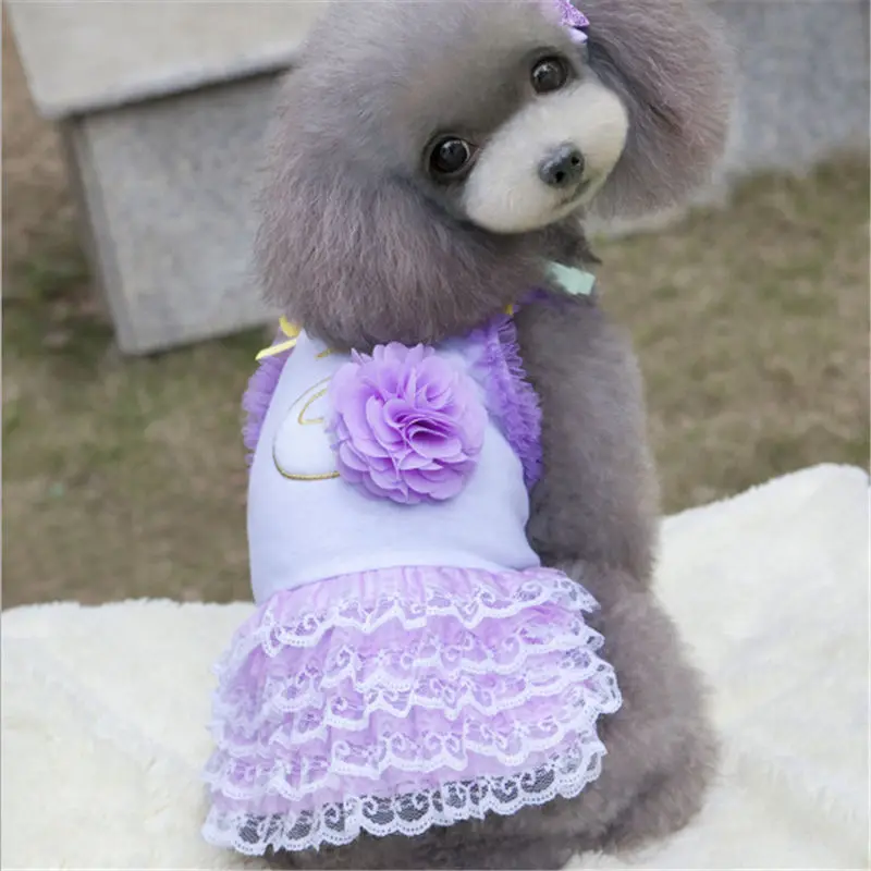 

Dog Clothes Hoodie Soft Dogs Pets Clothing Warm Dog Clothes for Small Dogs Outfit Jackets and Coats Cat Puppy Chihuahua Clothing